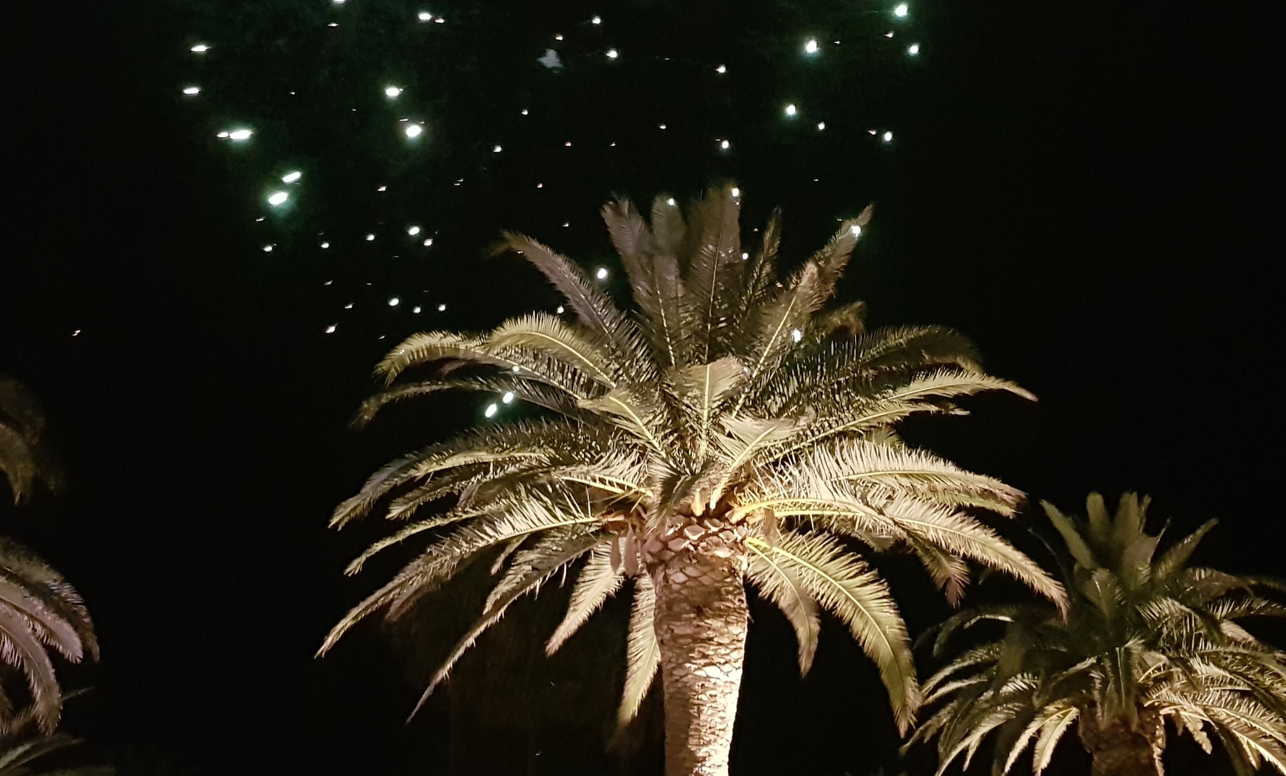 A HAPPY NEW YEAR TO ALL PARTNERS, CLIENTS AND FRIENDS