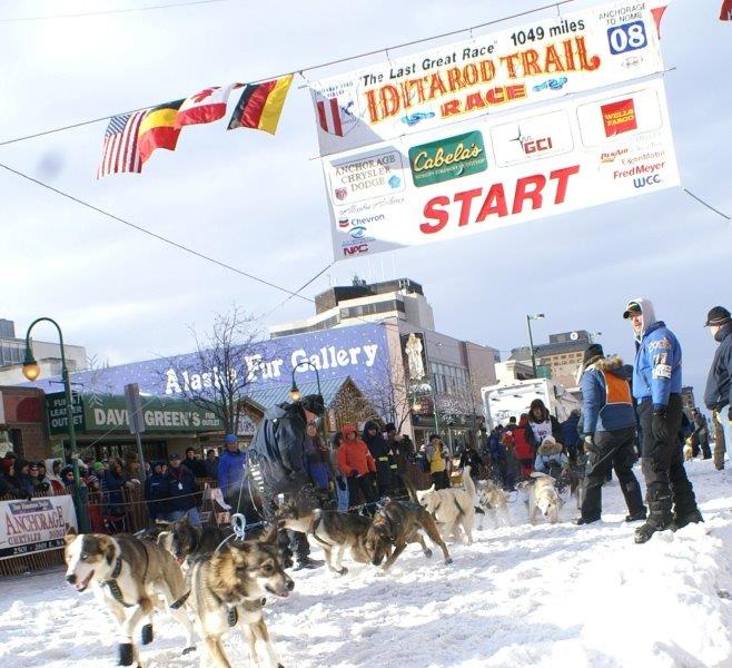 Anchorage: Rekordwinter in Sicht - Beste Bedingungen für den Iditarod