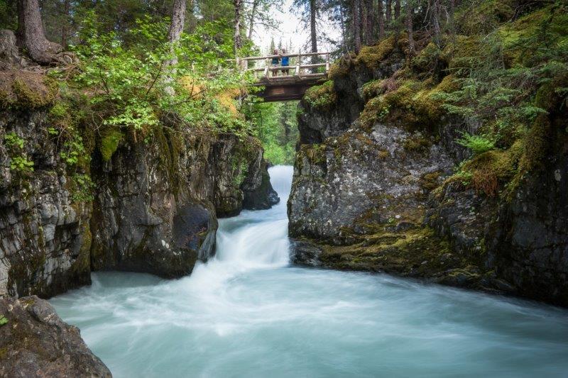 Girdwood auf dem Winner Creek Trail <br> Foto: JodyO.Photos 