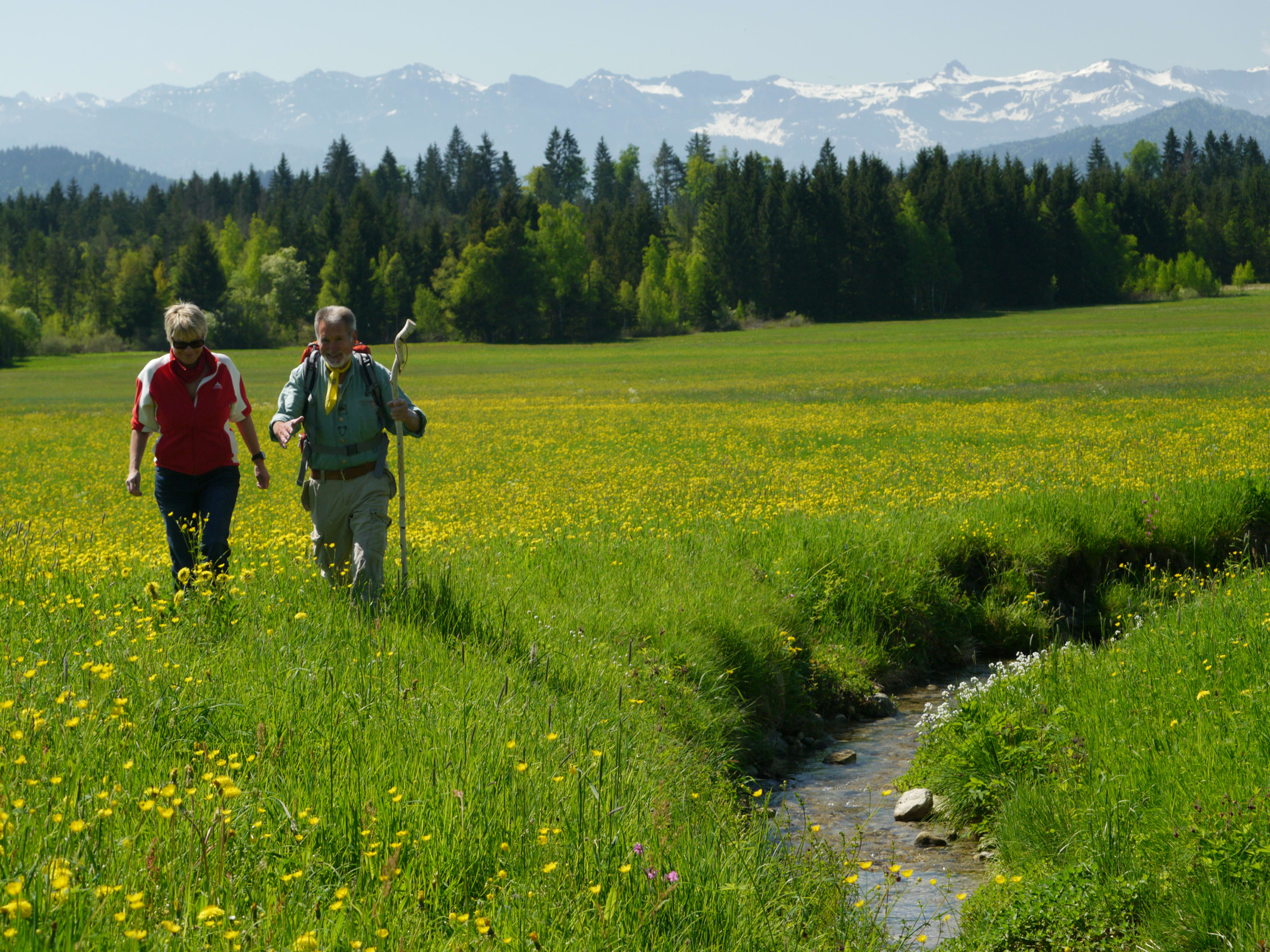 Westallgäuer Wanderwochen in Scheidegg mit Wendelinsritt am 11. Oktober