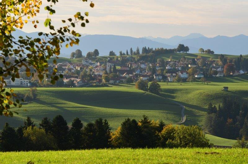 Westallgäuer Wanderwochen in Scheidegg: Genuss- und Gipfelwanderungen