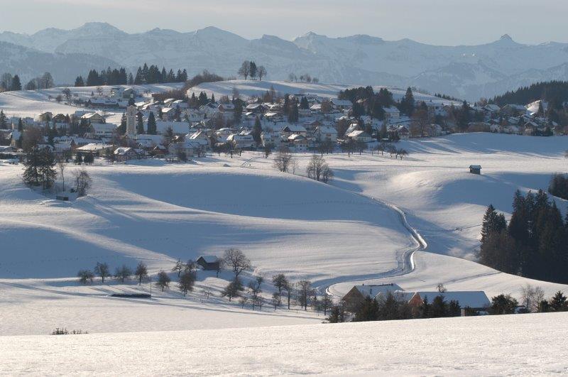 Scheidegger Winterwelten: Zauberhafter Spaziergang in sonniger Lage