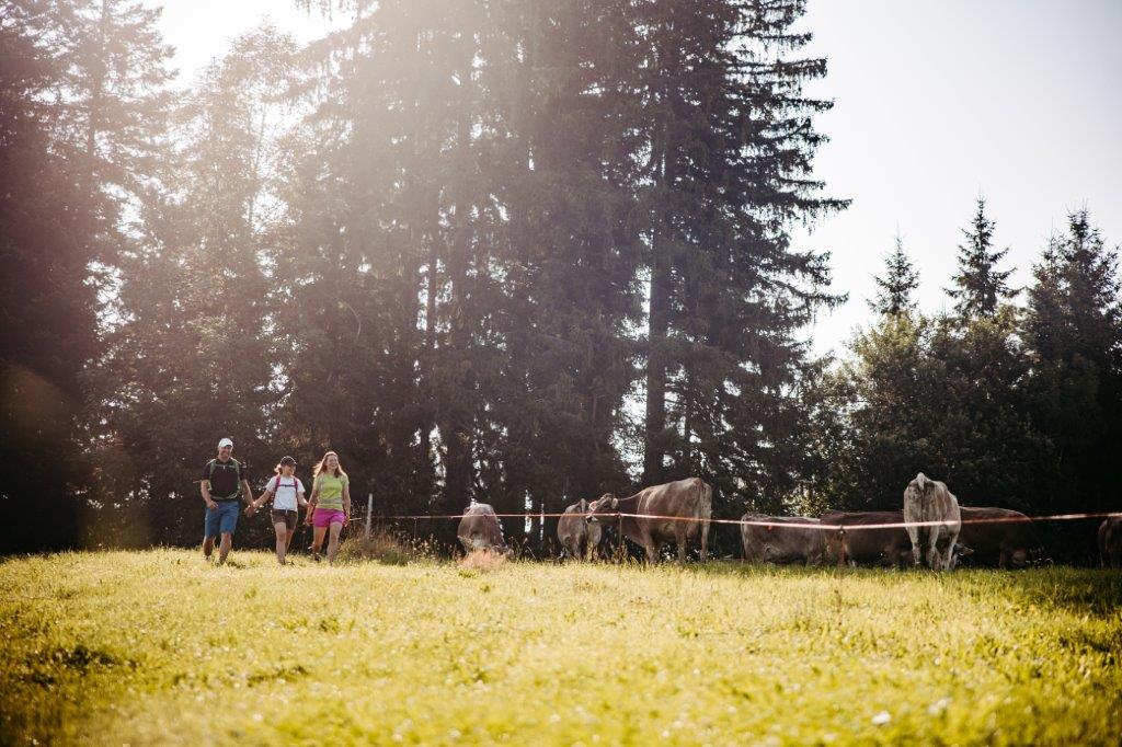 Pressearbeit für Westallgäu Tourismus ab 2023 bei Heiss Public Relations