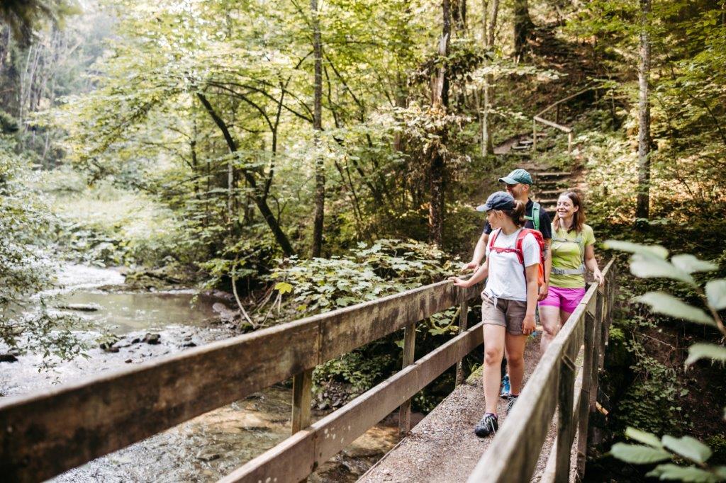 Aussichtsreich Premiumwandern im Westallgäu | Sieben zertifizierte Wege